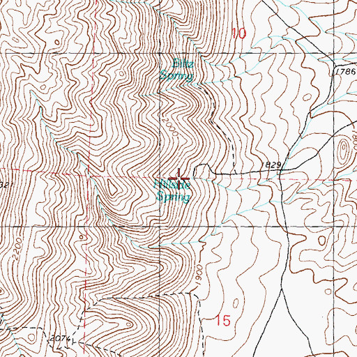 Topographic Map of Hillside Spring, NV