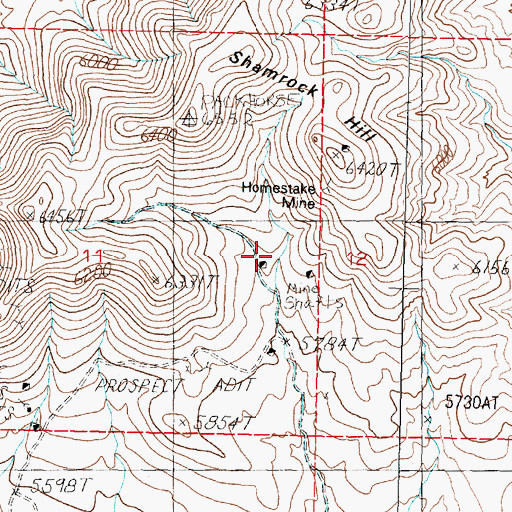 Topographic Map of Homestake Mine, NV