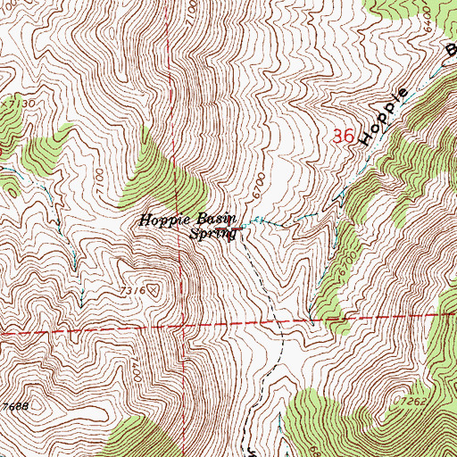 Topographic Map of Hoppie Basin Spring, NV