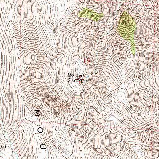 Topographic Map of Hornet Spring, NV