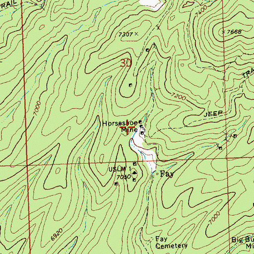 Topographic Map of Horseshoe Mine, NV