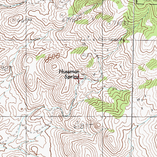 Topographic Map of Hussman Spring, NV