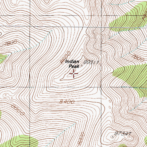 Topographic Map of Indian Peak, NV