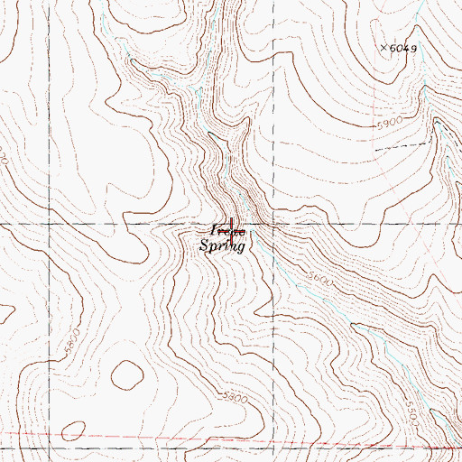 Topographic Map of Irene Spring, NV