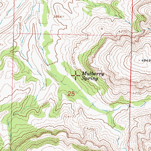 Topographic Map of Mulberry Spring, AZ
