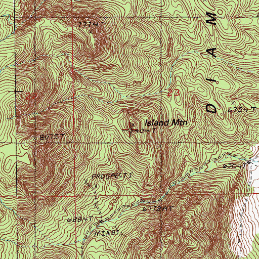 Topographic Map of Island Mountain, NV