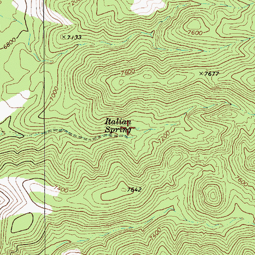 Topographic Map of Italian Spring, NV