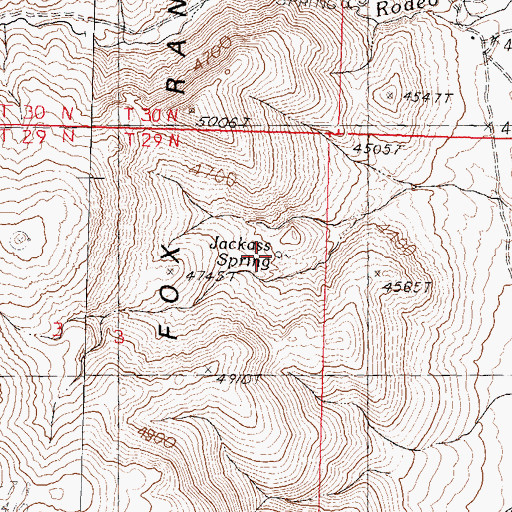 Topographic Map of Jackass Spring, NV