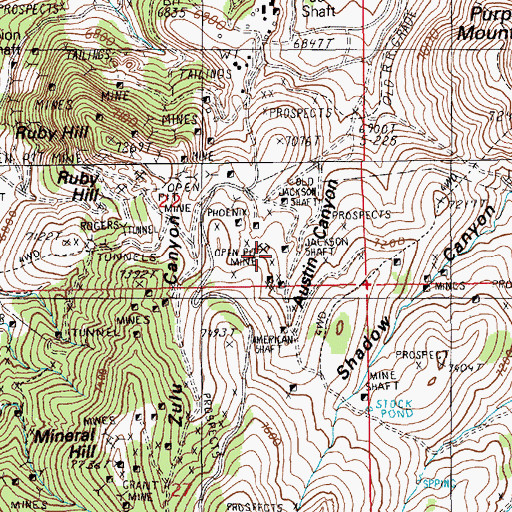 Topographic Map of Jackson Shaft, NV