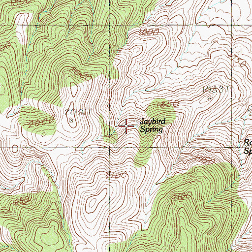 Topographic Map of Jaybird Spring, NV