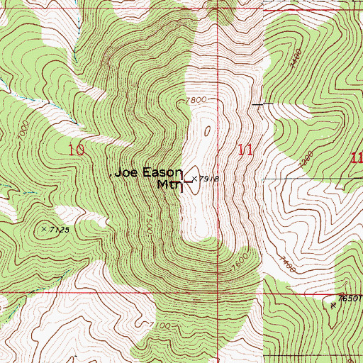 Topographic Map of Joe Eason Mountain, NV