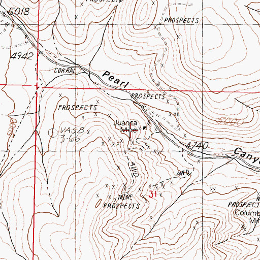 Topographic Map of Juanita Mine, NV