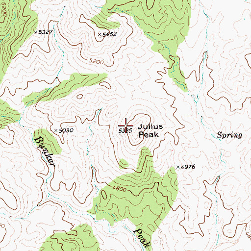 Topographic Map of Julius Peak, NV