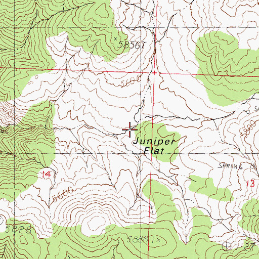 Topographic Map of Juniper Flat, NV