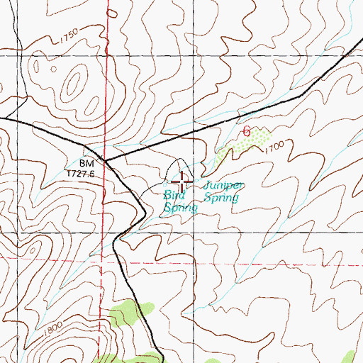 Topographic Map of Juniper Spring, NV