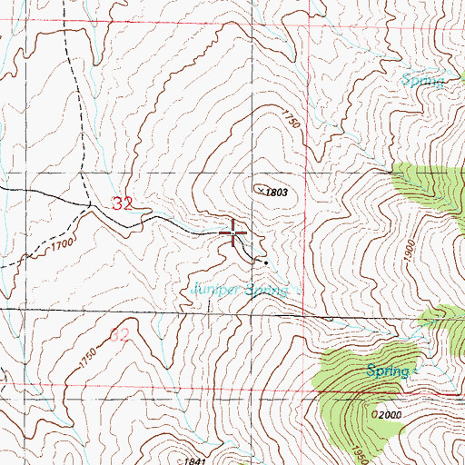 Topographic Map of Juniper Spring, NV