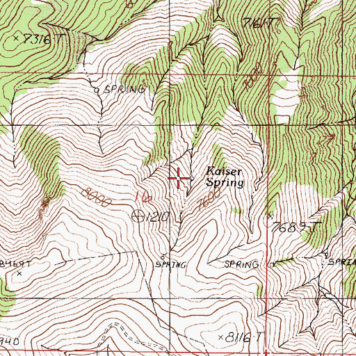 Topographic Map of Kaiser Spring, NV