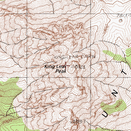 Topographic Map of King Lear Peak, NV