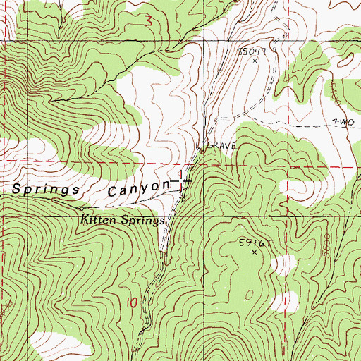 Topographic Map of Kitten Springs Canyon, NV