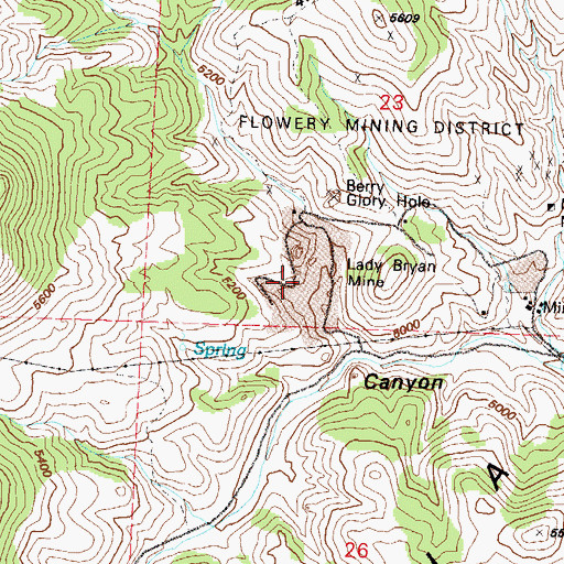 Topographic Map of Lady Bryan Mine, NV