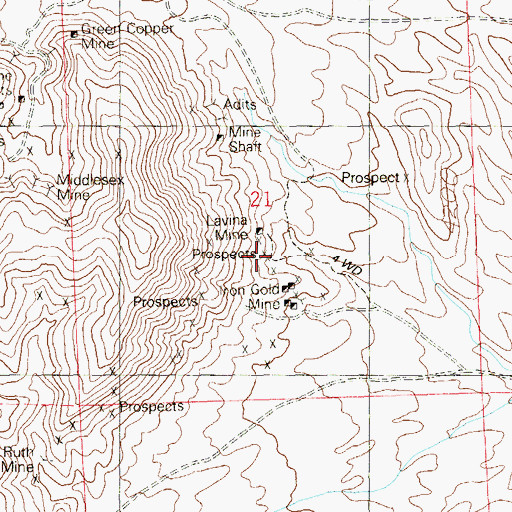 Topographic Map of Lavina Mine, NV