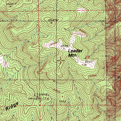 Topographic Map of Leader Mountain, NV