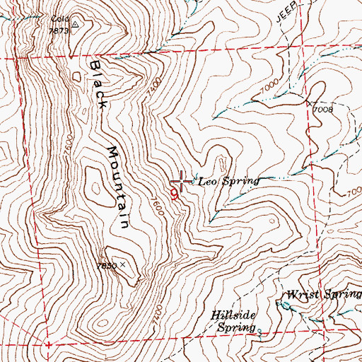 Topographic Map of Leo Spring, NV