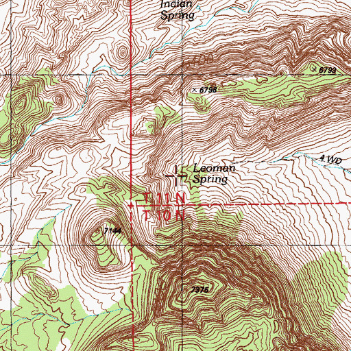 Topographic Map of Leoman Spring, NV