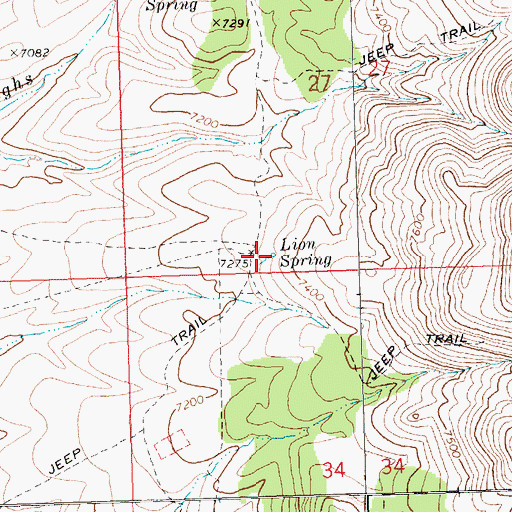 Topographic Map of Lion Spring, NV