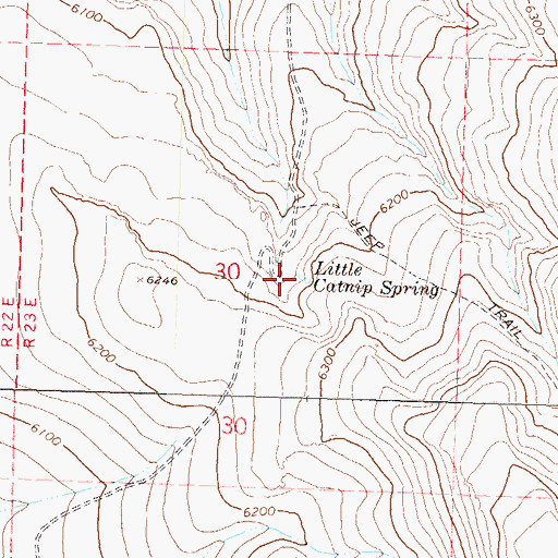 Topographic Map of Little Catnip Spring, NV