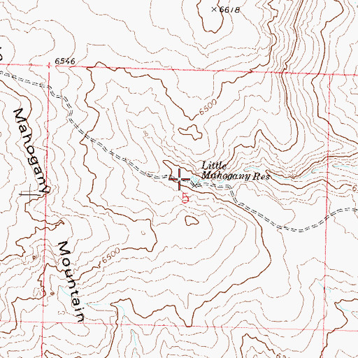 Topographic Map of Little Mahogany Reservoir, NV