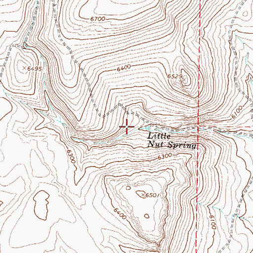 Topographic Map of Little Nut Spring, NV