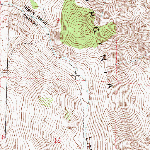 Topographic Map of Little Valley, NV