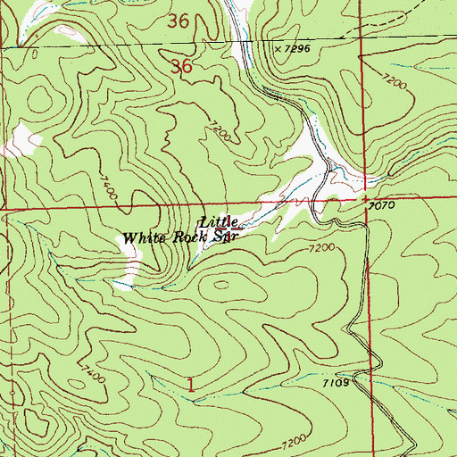 Topographic Map of Little White Rock Spring, NV