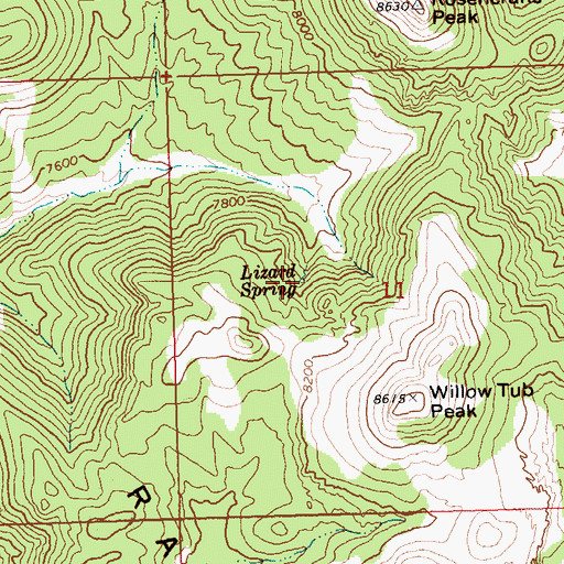 Topographic Map of Lizard Spring, NV