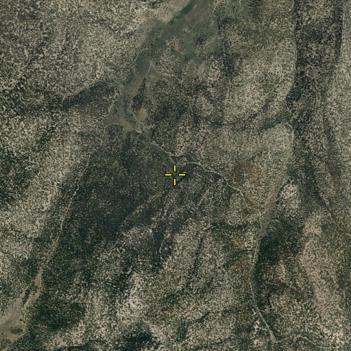 Aerial/Satellite Image of Log Spring, NV