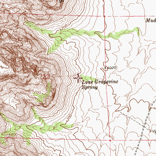 Topographic Map of Lone Grapevine Spring, NV