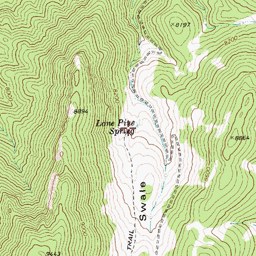 Topographic Map of Lone Pine Spring, NV