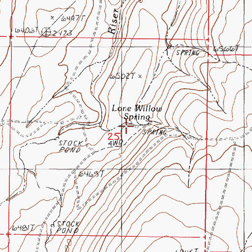 Topographic Map of Lone Willow Spring, NV