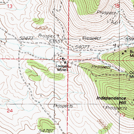 Topographic Map of Looney Mine, NV