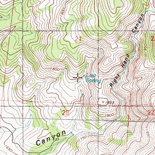 Topographic Map of Lost Spring, NV