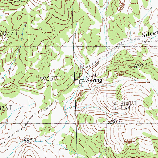 Topographic Map of Lost Spring, NV
