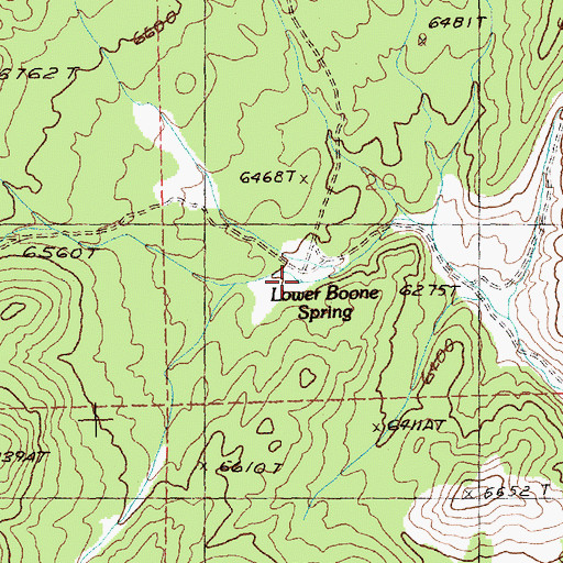 Topographic Map of Lower Boone Spring, NV