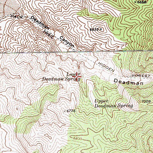 Topographic Map of Lower Deadman Spring, NV