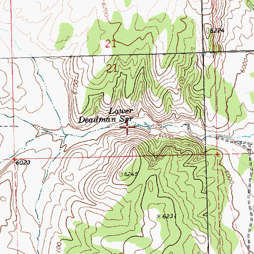 Topographic Map of Lower Deadman Spring, NV