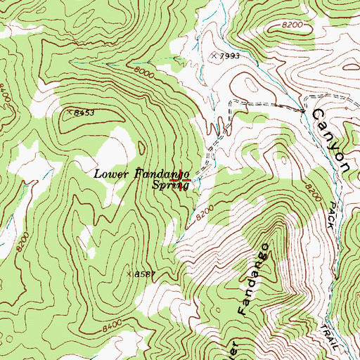 Topographic Map of Lower Fandango Spring, NV