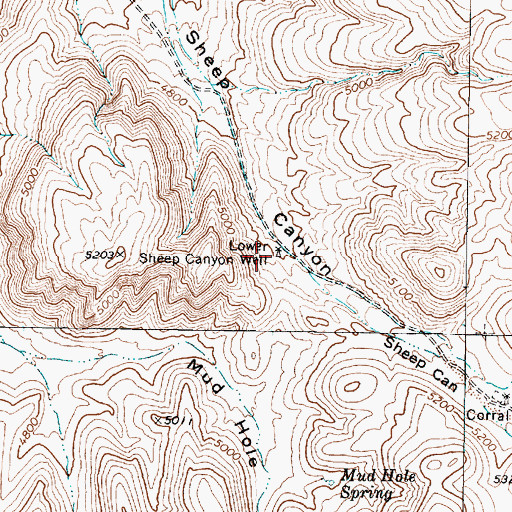 Topographic Map of Lower Sheep Canyon Well, NV