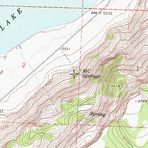 Topographic Map of MC Springs, NV