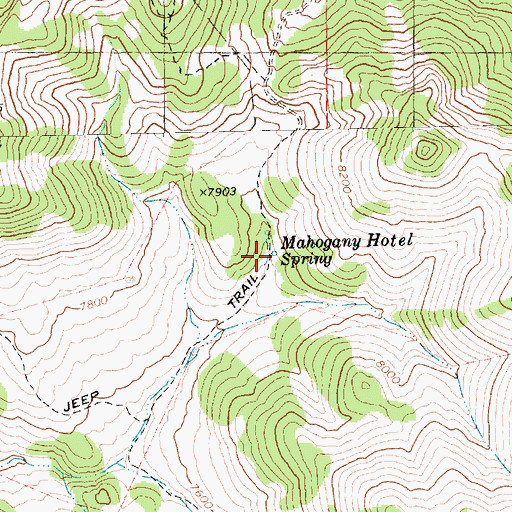 Topographic Map of Mahogany Hotel Spring, NV