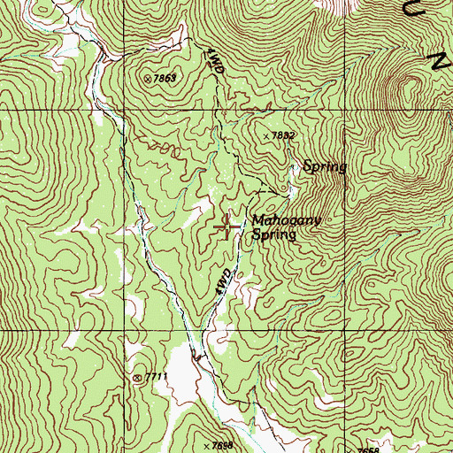 Topographic Map of Mahogany Spring, NV